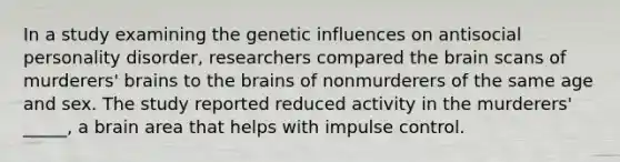 In a study examining the genetic influences on antisocial personality disorder, researchers compared the brain scans of murderers' brains to the brains of nonmurderers of the same age and sex. The study reported reduced activity in the murderers' _____, a brain area that helps with impulse control.