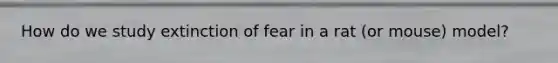 How do we study extinction of fear in a rat (or mouse) model?