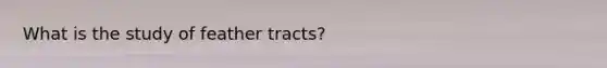 What is the study of feather tracts?