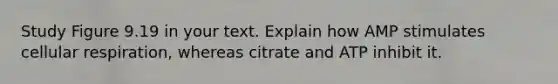 Study Figure 9.19 in your text. Explain how AMP stimulates cellular respiration, whereas citrate and ATP inhibit it.