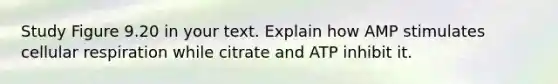 Study Figure 9.20 in your text. Explain how AMP stimulates cellular respiration while citrate and ATP inhibit it.