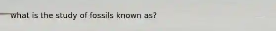 what is the study of fossils known as?