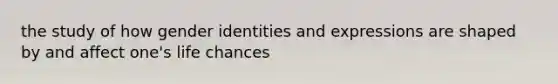 the study of how gender identities and expressions are shaped by and affect one's life chances