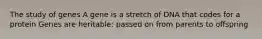 The study of genes A gene is a stretch of DNA that codes for a protein Genes are heritable: passed on from parents to offspring