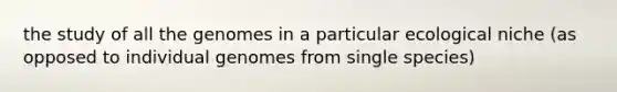 the study of all the genomes in a particular ecological niche (as opposed to individual genomes from single species)