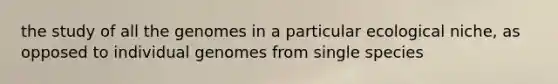 the study of all the genomes in a particular ecological niche, as opposed to individual genomes from single species
