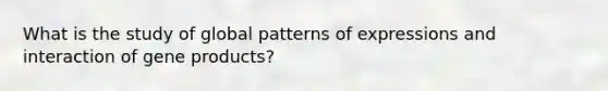 What is the study of global patterns of expressions and interaction of gene products?