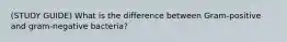 (STUDY GUIDE) What is the difference between Gram-positive and gram-negative bacteria?