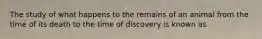 The study of what happens to the remains of an animal from the time of its death to the time of discovery is known as