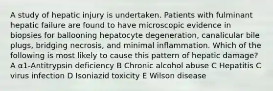 A study of hepatic injury is undertaken. Patients with fulminant hepatic failure are found to have microscopic evidence in biopsies for ballooning hepatocyte degeneration, canalicular bile plugs, bridging necrosis, and minimal inflammation. Which of the following is most likely to cause this pattern of hepatic damage? A α1-Antitrypsin deficiency B Chronic alcohol abuse C Hepatitis C virus infection D Isoniazid toxicity E Wilson disease