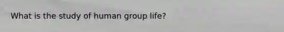 What is the study of human group life?