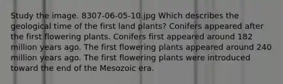 Study the image. 8307-06-05-10.jpg Which describes the geological time of the first land plants? Conifers appeared after the first flowering plants. Conifers first appeared around 182 million years ago. The first flowering plants appeared around 240 million years ago. The first flowering plants were introduced toward the end of the Mesozoic era.