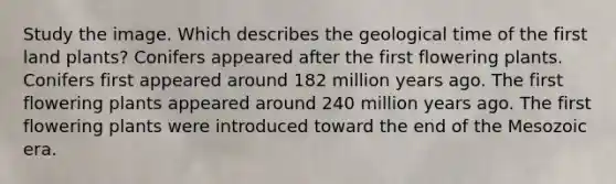 Study the image. Which describes the geological time of the first land plants? Conifers appeared after the first flowering plants. Conifers first appeared around 182 million years ago. The first flowering plants appeared around 240 million years ago. The first flowering plants were introduced toward the end of the Mesozoic era.