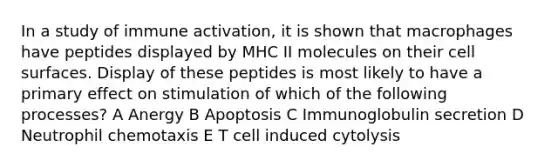 In a study of immune activation, it is shown that macrophages have peptides displayed by MHC II molecules on their cell surfaces. Display of these peptides is most likely to have a primary effect on stimulation of which of the following processes? A Anergy B Apoptosis C Immunoglobulin secretion D Neutrophil chemotaxis E T cell induced cytolysis