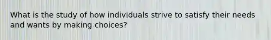 What is the study of how individuals strive to satisfy their needs and wants by making choices?