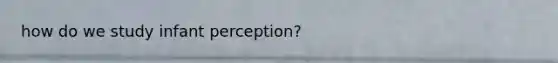 how do we study infant perception?