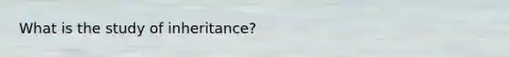 What is the study of inheritance?