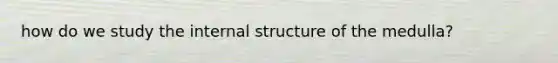 how do we study the internal structure of the medulla?