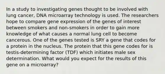 In a study to investigating genes thought to be involved with lung cancer, DNA microarray technology is used. The researchers hope to compare gene expression of the genes of interest between smokers and non-smokers in order to gain more knowledge of what causes a normal lung cell to become cancerous. One of the genes tested is SRY a gene that codes for a protein in the nucleus. The protein that this gene codes for is testis-determining factor (TDF) which initiates male sex determination. What would you expect for the results of this gene on a microarray?