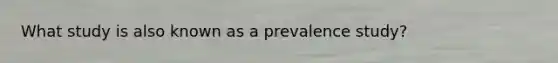 What study is also known as a prevalence study?