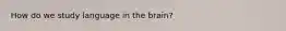 How do we study language in the brain?