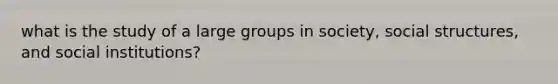 what is the study of a large groups in society, social structures, and social institutions?