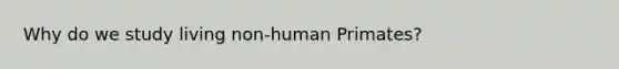 Why do we study living non-human Primates?