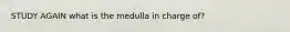 STUDY AGAIN what is the medulla in charge of?