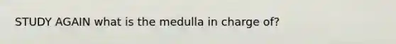 STUDY AGAIN what is the medulla in charge of?