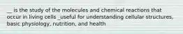 __ is the study of the molecules and chemical reactions that occur in living cells _useful for understanding cellular structures, basic physiology, nutrition, and health