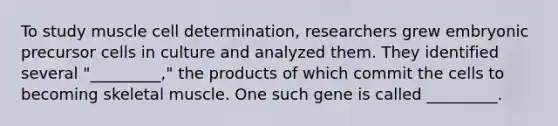 To study muscle cell determination, researchers grew embryonic precursor cells in culture and analyzed them. They identified several "_________," the products of which commit the cells to becoming skeletal muscle. One such gene is called _________.