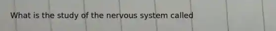 What is the study of the nervous system called