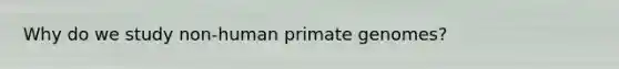 Why do we study non-human primate genomes?