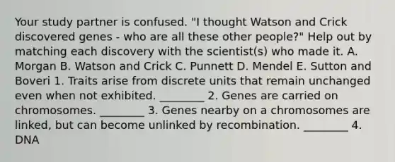 Your study partner is confused. "I thought Watson and Crick discovered genes - who are all these other people?" Help out by matching each discovery with the scientist(s) who made it. A. Morgan B. Watson and Crick C. Punnett D. Mendel E. Sutton and Boveri 1. Traits arise from discrete units that remain unchanged even when not exhibited. ________ 2. Genes are carried on chromosomes. ________ 3. Genes nearby on a chromosomes are linked, but can become unlinked by recombination. ________ 4. DNA