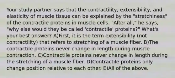 Your study partner says that the contractility, extensibility, and elasticity of muscle tissue can be explained by the "stretchiness" of the contractile proteins in muscle cells. "After all," he says, "why else would they be called 'contractile' proteins?" What's your best answer? A)First, it is the term extensibility (not contractility) that refers to stretching of a muscle fiber. B)The contractile proteins never change in length during muscle contraction. C)Contractile proteins never change in length during the stretching of a muscle fiber. D)Contractile proteins only change position relative to each other. E)All of the above.