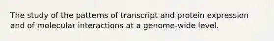 The study of the patterns of transcript and protein expression and of molecular interactions at a genome-wide level.