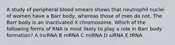 A study of peripheral blood smears shows that neutrophil nuclei of women have a Barr body, whereas those of men do not. The Barr body is an inactivated X chromosome. Which of the following forms of RNA is most likely to play a role in Barr body formation? A lncRNA B mRNA C miRNA D siRNA E tRNA