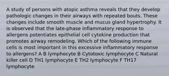 A study of persons with atopic asthma reveals that they develop pathologic changes in their airways with repeated bouts. These changes include smooth muscle and mucus gland hypertrophy. It is observed that the late-phase inflammatory response to allergens potentiates epithelial cell cytokine production that promotes airway remodeling. Which of the following immune cells is most important in this excessive inflammatory response to allergens? A B lymphocyte B Cytotoxic lymphocyte C Natural killer cell D TH1 lymphocyte E TH2 lymphocyte F TH17 lymphocyte