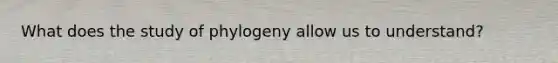 What does the study of phylogeny allow us to understand?