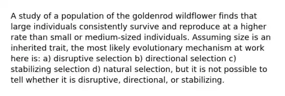 A study of a population of the goldenrod wildflower finds that large individuals consistently survive and reproduce at a higher rate than small or medium-sized individuals. Assuming size is an inherited trait, the most likely evolutionary mechanism at work here is: a) disruptive selection b) directional selection c) stabilizing selection d) natural selection, but it is not possible to tell whether it is disruptive, directional, or stabilizing.