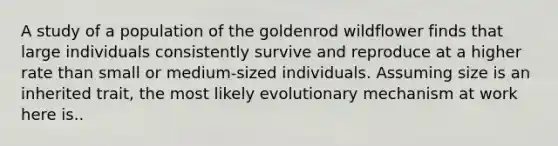 A study of a population of the goldenrod wildflower finds that large individuals consistently survive and reproduce at a higher rate than small or medium-sized individuals. Assuming size is an inherited trait, the most likely evolutionary mechanism at work here is..