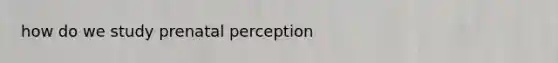 how do we study prenatal perception