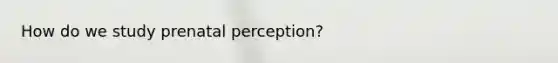 How do we study prenatal perception?