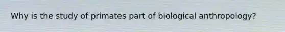 Why is the study of primates part of biological anthropology?
