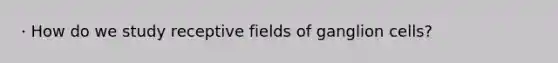 · How do we study receptive fields of ganglion cells?