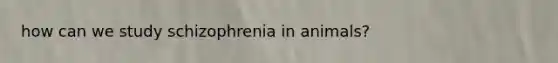 how can we study schizophrenia in animals?