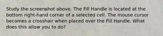 Study the screenshot above. The Fill Handle is located at the bottom right-hand corner of a selected cell. The mouse cursor becomes a crosshair when placed over the Fill Handle. What does this allow you to do?