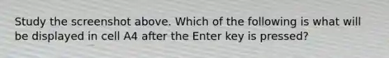 Study the screenshot above. Which of the following is what will be displayed in cell A4 after the Enter key is pressed?