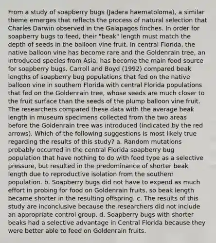 From a study of soapberry bugs (Jadera haematoloma), a similar theme emerges that reflects the process of natural selection that Charles Darwin observed in the Galapagos finches. In order for soapberry bugs to feed, their "beak" length must match the depth of seeds in the balloon vine fruit. In central Florida, the native balloon vine has become rare and the Goldenrain tree, an introduced species from Asia, has become the main food source for soapberry bugs. Carroll and Boyd (1992) compared beak lengths of soapberry bug populations that fed on the native balloon vine in southern Florida with central Florida populations that fed on the Goldenrain tree, whose seeds are much closer to the fruit surface than the seeds of the plump balloon vine fruit. The researchers compared these data with the average beak length in museum specimens collected from the two areas before the Goldenrain tree was introduced (indicated by the red arrows). Which of the following suggestions is most likely true regarding the results of this study? a. Random mutations probably occurred in the central Florida soapberry bug population that have nothing to do with food type as a selective pressure, but resulted in the predominance of shorter beak length due to reproductive isolation from the southern population. b. Soapberry bugs did not have to expend as much effort in probing for food on Goldenrain fruits, so beak length became shorter in the resulting offspring. c. The results of this study are inconclusive because the researchers did not include an appropriate control group. d. Soapberry bugs with shorter beaks had a selective advantage in Central Florida because they were better able to feed on Goldenrain fruits.