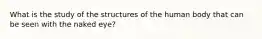 What is the study of the structures of the human body that can be seen with the naked eye?